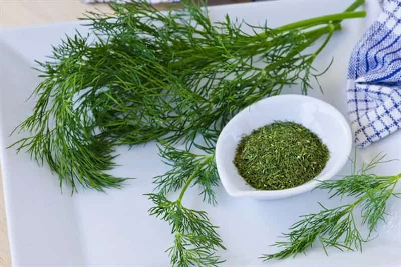 تصویر 3 از شوید خشک فله ای انتخابی مناسب برای صنایع غذایی